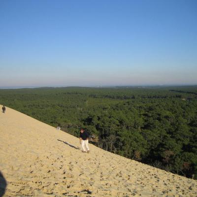 Dune environs